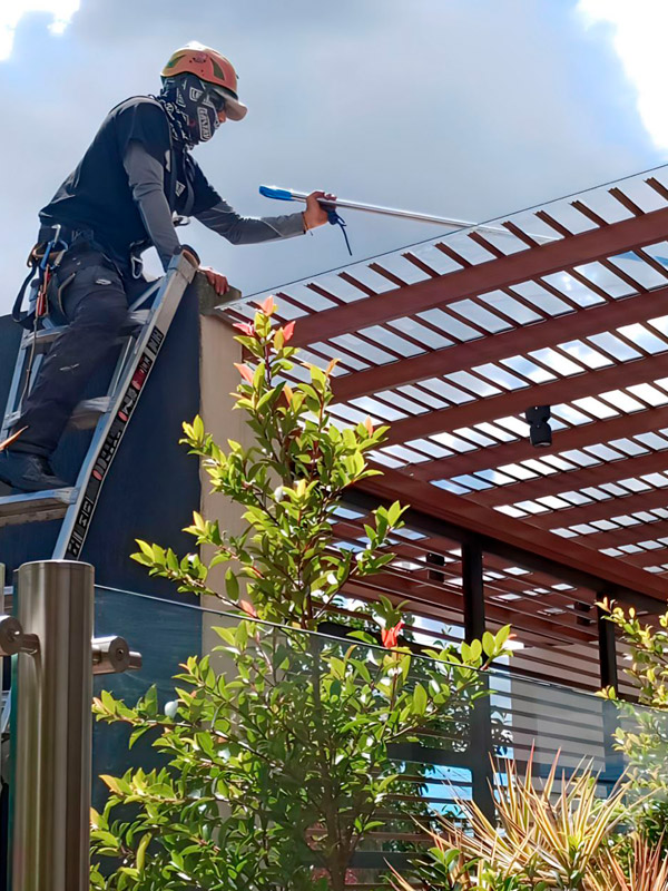 world-services-trabajos-en-altura-limpieza-pergolas8
