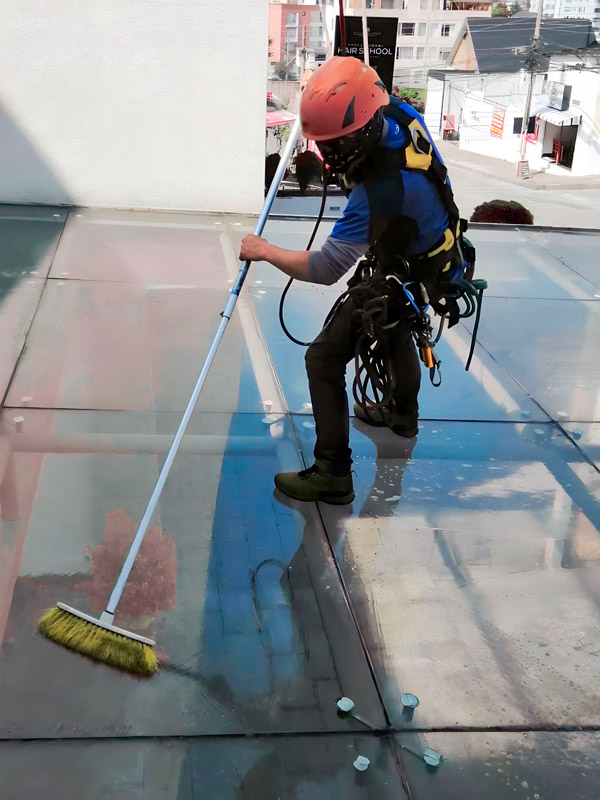 world-services-trabajos-en-altura-limpieza-pergolas9