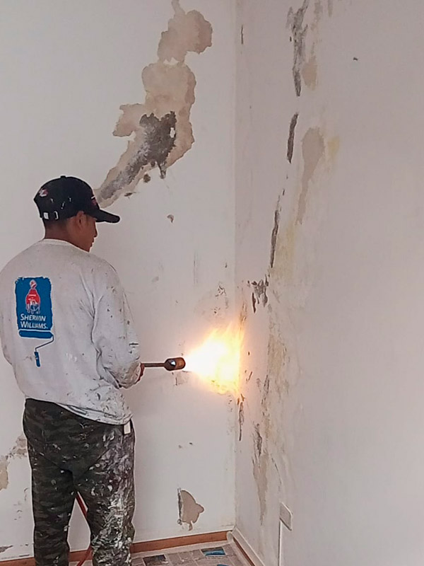 world-services-trabajos-en-altura-pintura-interna-piso6